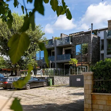 Amore * بوريتش